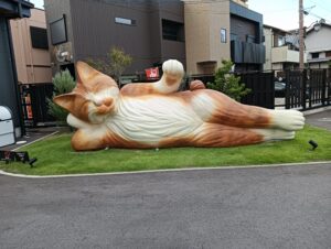 巨大猫