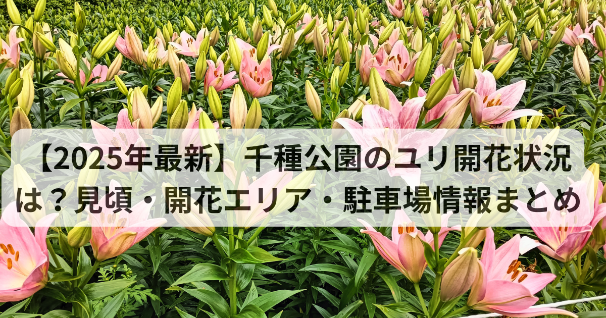 千種公園ユリ園