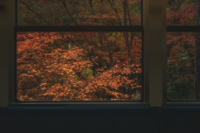 もみじのトンネル